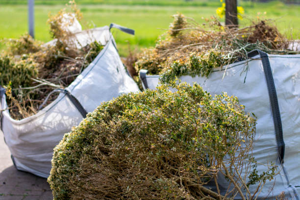 Best Commercial Junk Removal  in Paramount, CA